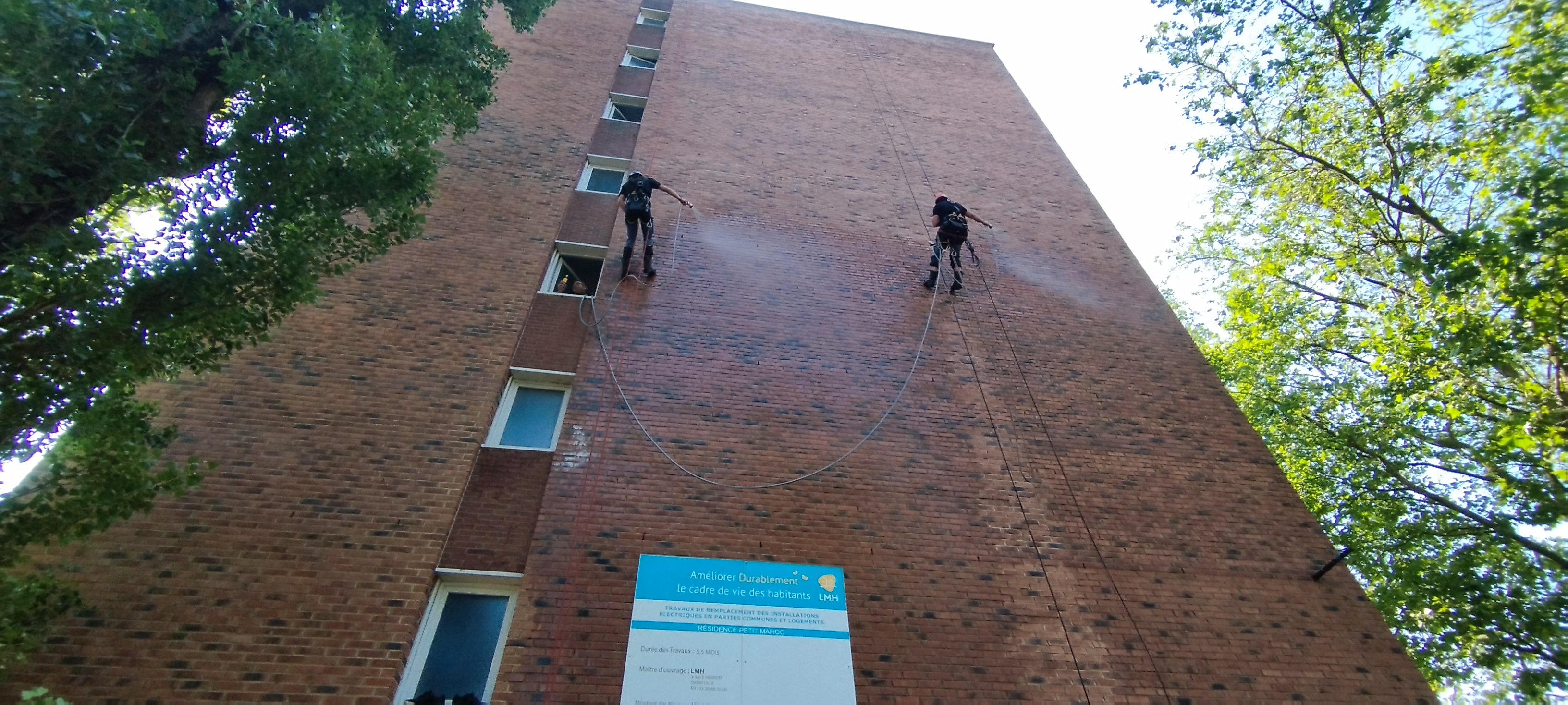 Description de l'image